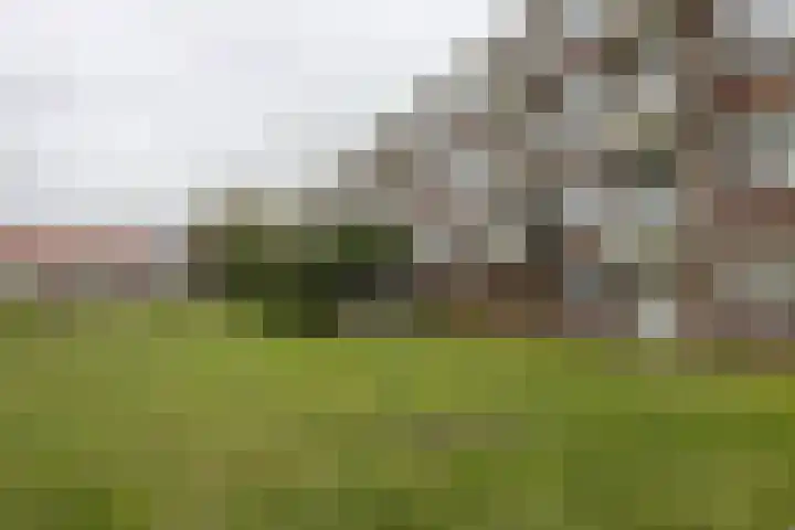 Narcissenstraat 17 Rozenburg thumbnail 22