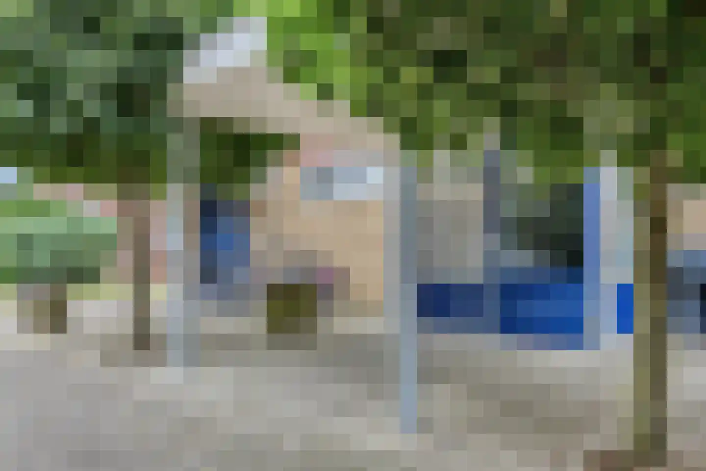 Narcissenstraat 206 Echt thumbnail 4