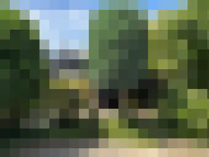 Narcissenstraat 21 Breezand thumbnail 11
