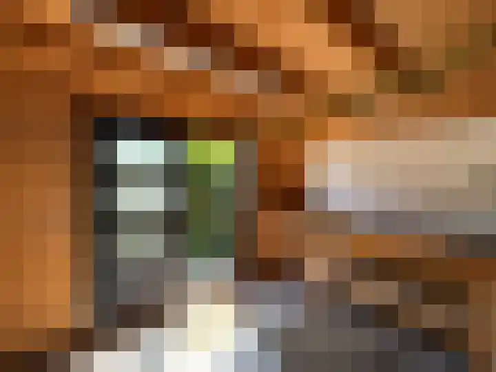 Narcissenstraat 21 Breezand thumbnail 19