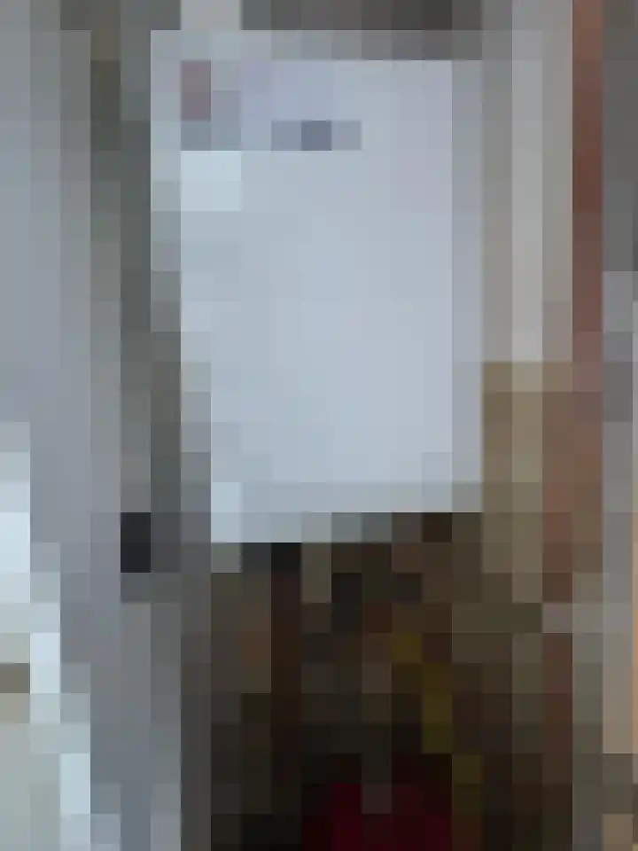 Narcissenstraat 21 Breezand thumbnail 9