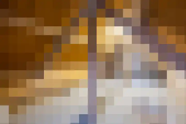 Narcissenstraat 22 Volendam thumbnail 23