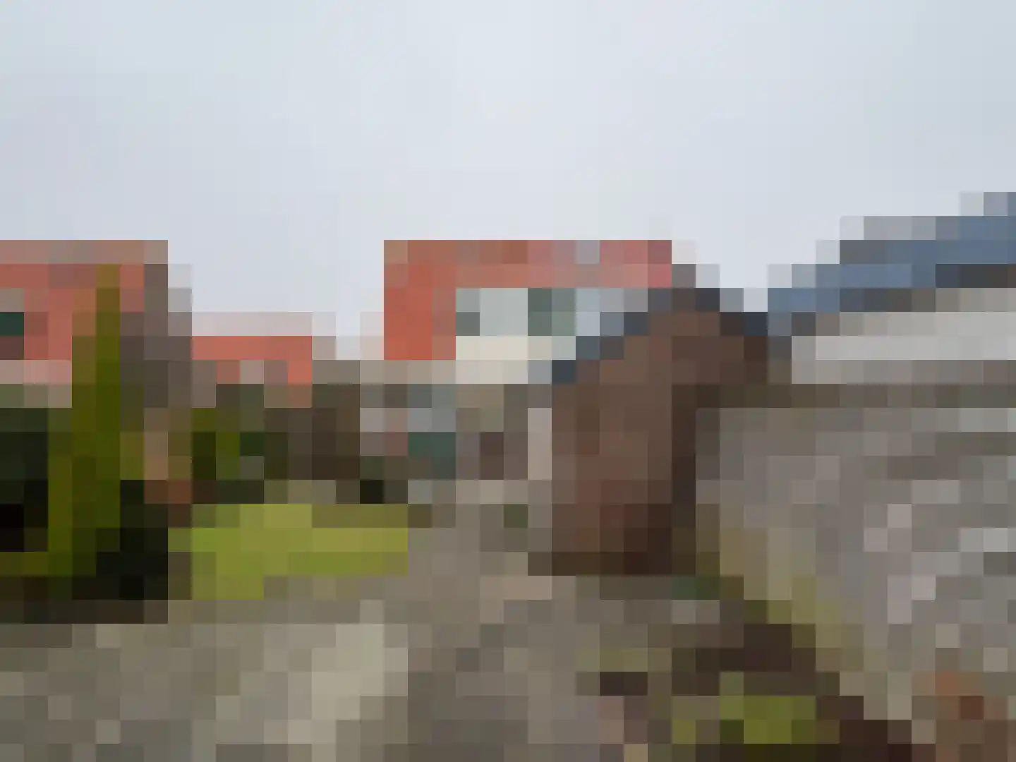 Narcissenstraat 24 Breezand thumbnail 31