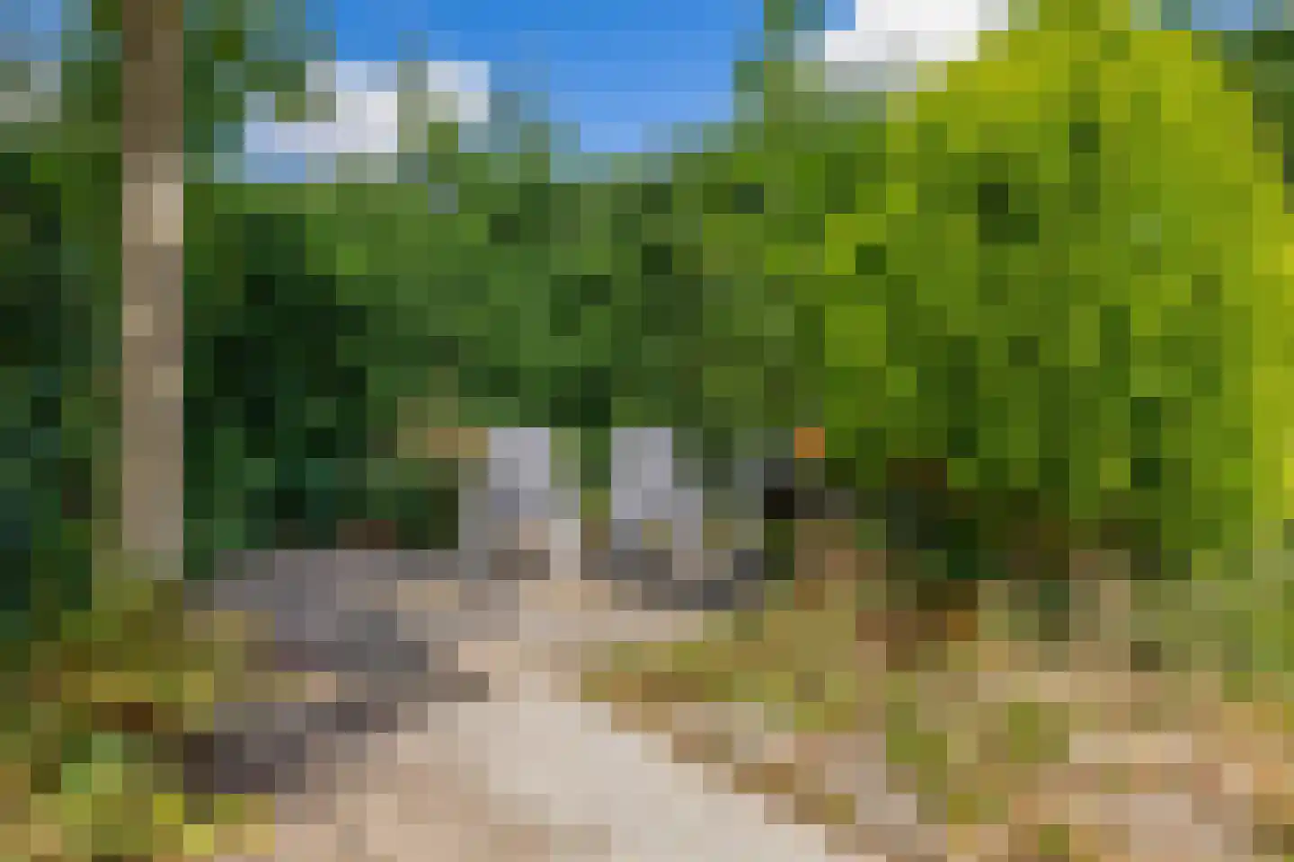 Narcissenstraat 27 Breezand thumbnail 24