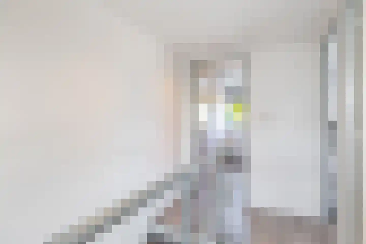Narcissenstraat 27 Breezand thumbnail 33