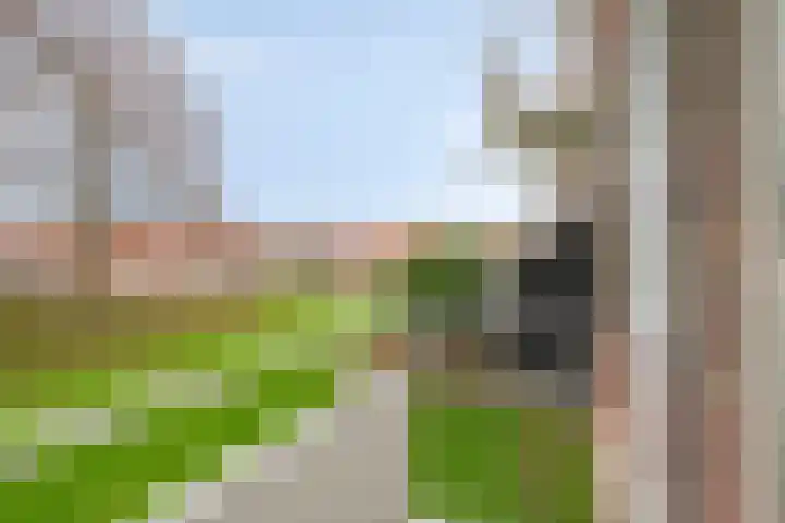Narcissenstraat 3 Rozenburg thumbnail 13