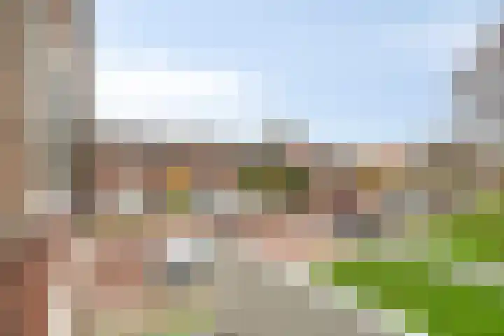 Narcissenstraat 3 Rozenburg thumbnail 14