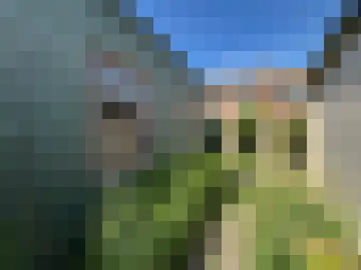 Narcissenstraat 30 Breezand thumbnail 13