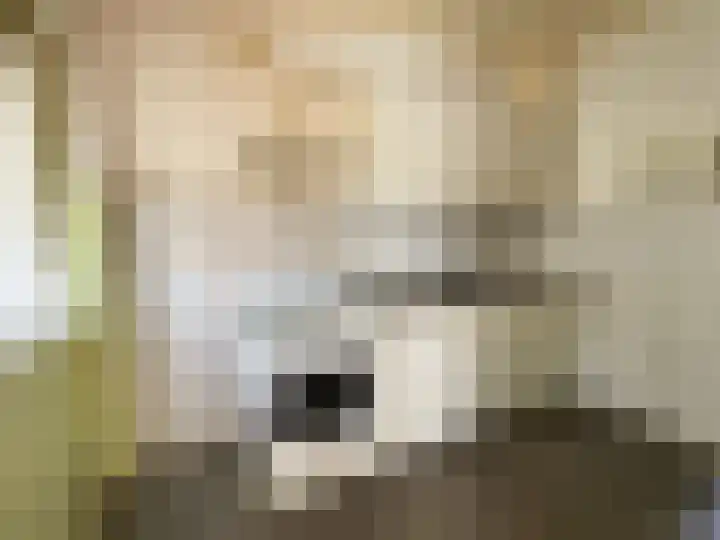 Narcissenstraat 30 Breezand thumbnail 6