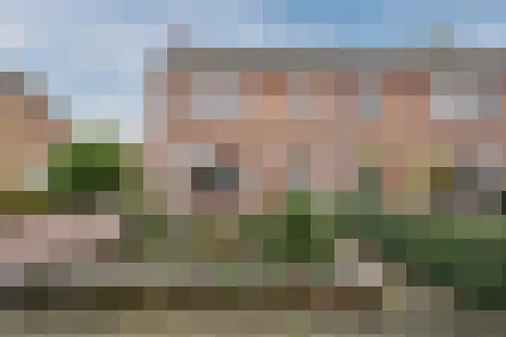 Narcissenstraat 34 Breezand thumbnail 15