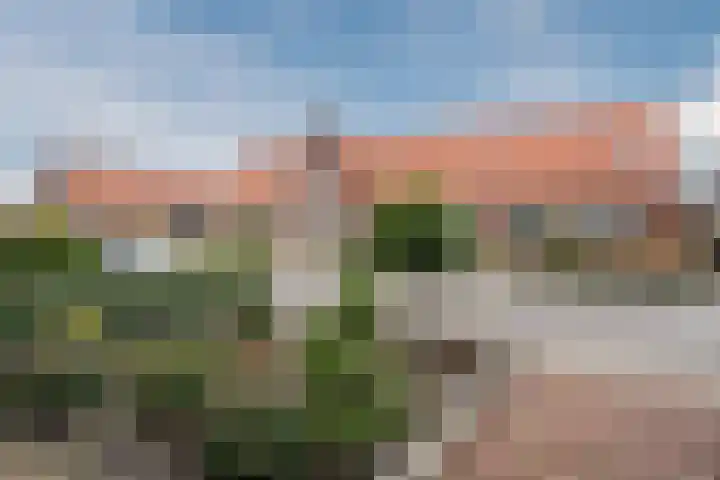 Narcissenstraat 34 Breezand thumbnail 19