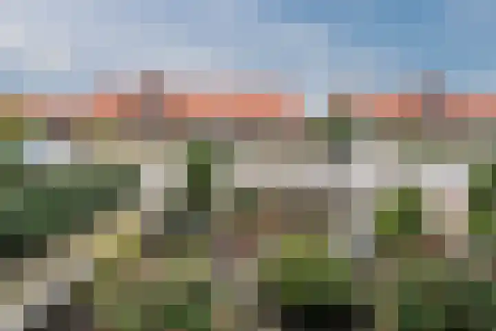 Narcissenstraat 34 Breezand thumbnail 20