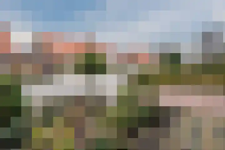Narcissenstraat 34 Breezand thumbnail 22