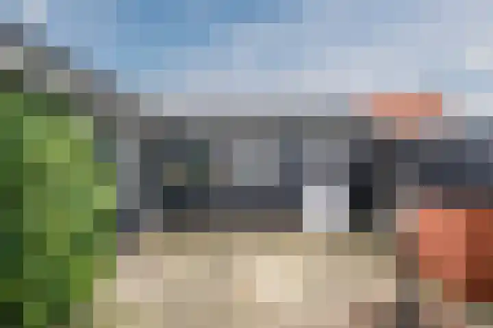 Narcissenstraat 34 Breezand thumbnail 43