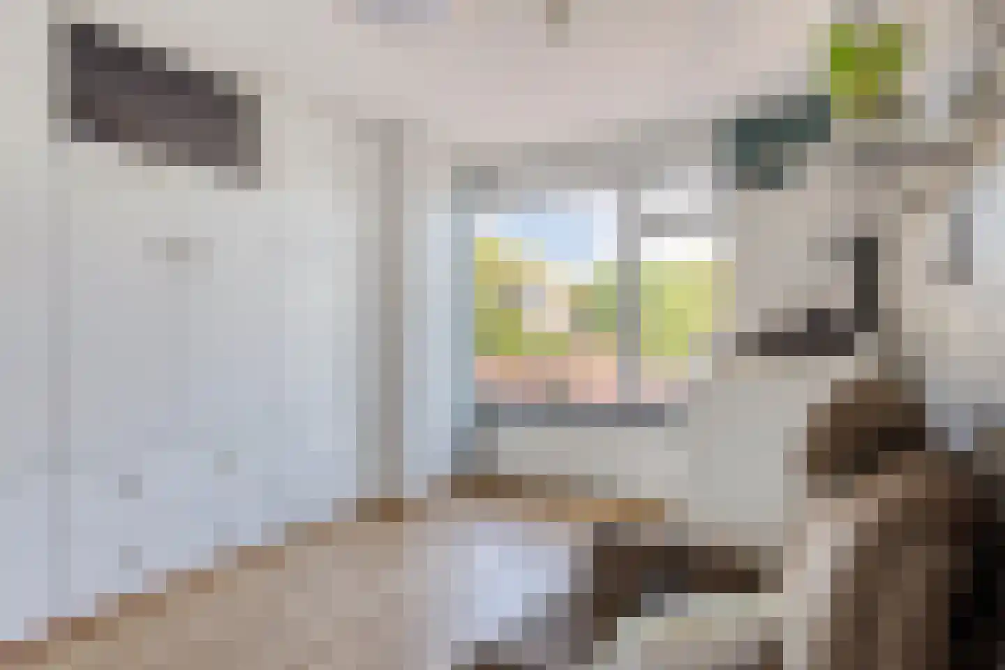 Narcissenstraat 5 Helmond thumbnail 22