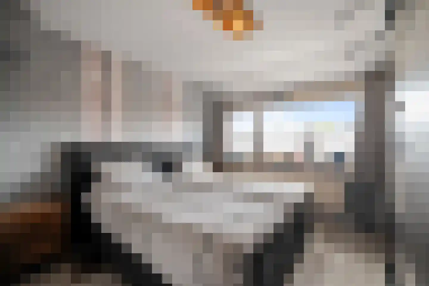 Narcissenstraat 50 Breezand thumbnail 18