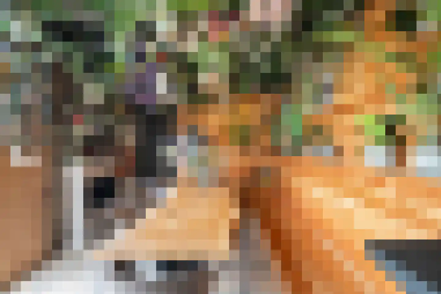 Narcissenstraat 50 Breezand thumbnail 32