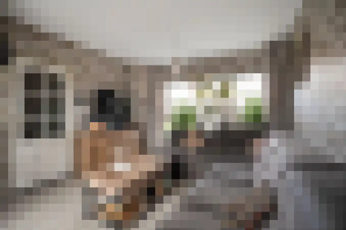 Narcissenstraat 50 Breezand thumbnail 8