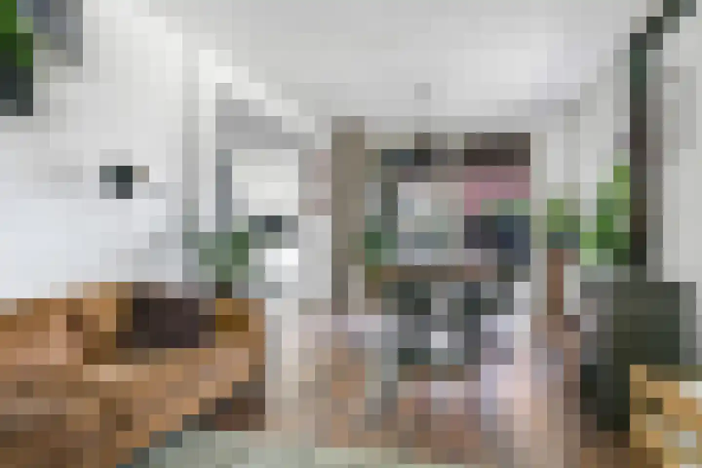 Narcissenstraat 55 Heteren thumbnail 17