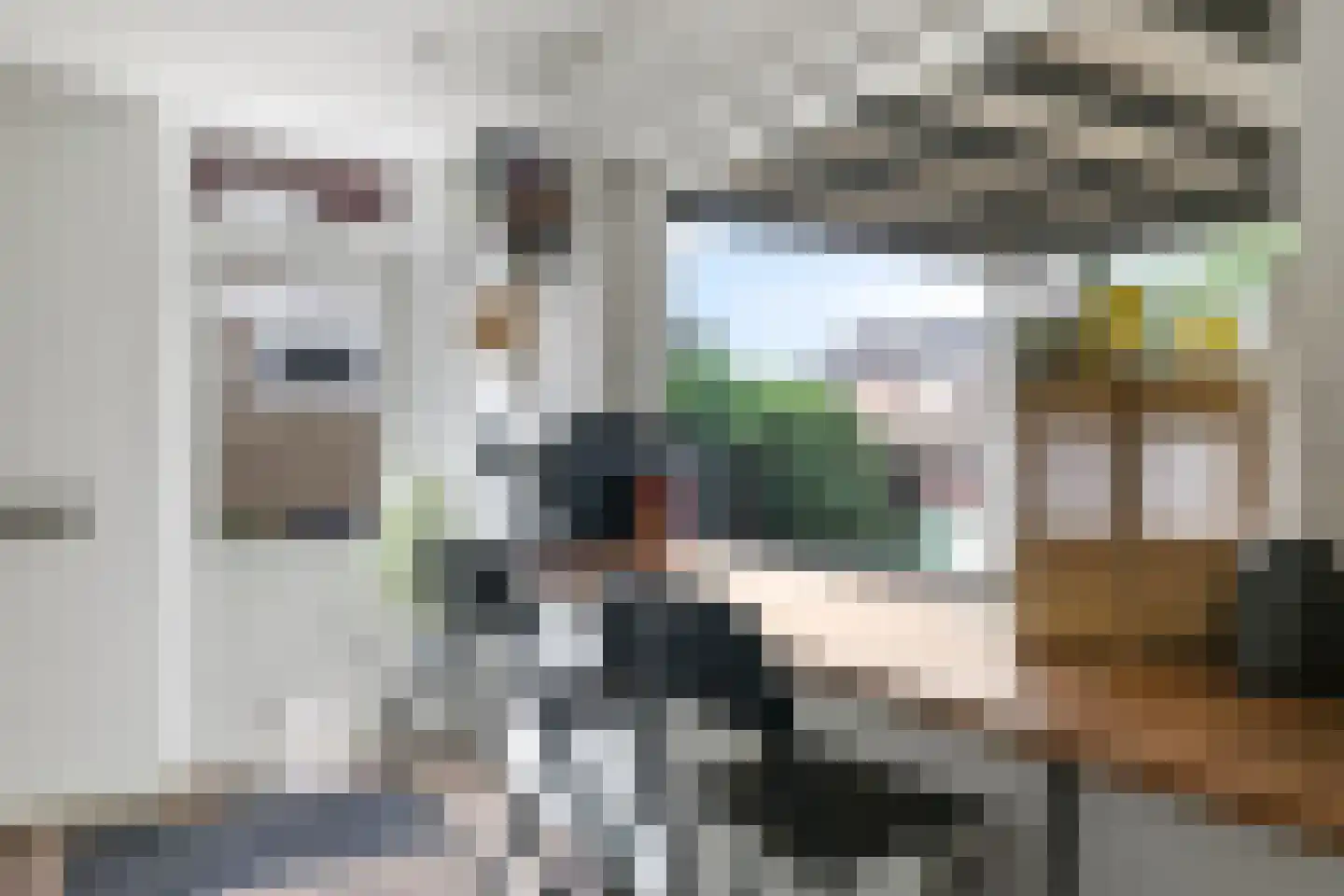 Narcissenstraat 55 Heteren thumbnail 26