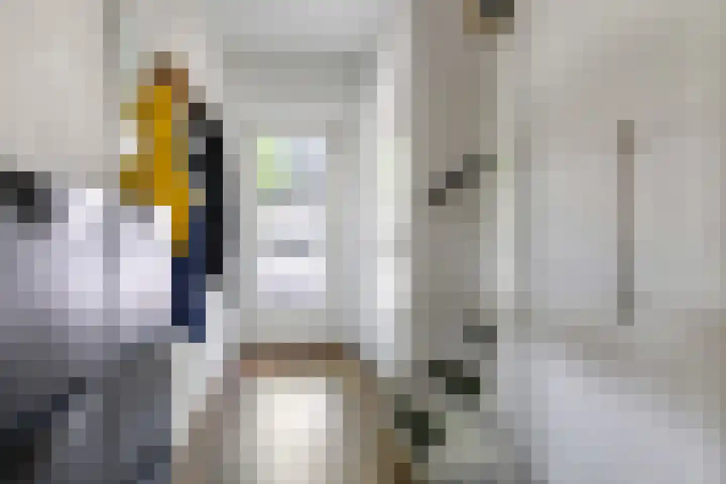 Narcissenstraat 55 Heteren thumbnail 33