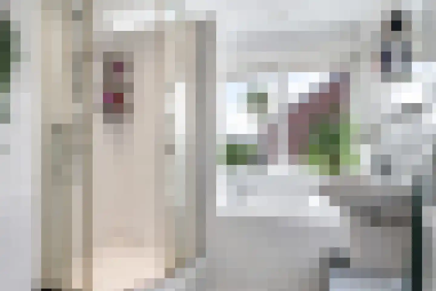 Narcissenstraat 55 Heteren thumbnail 37
