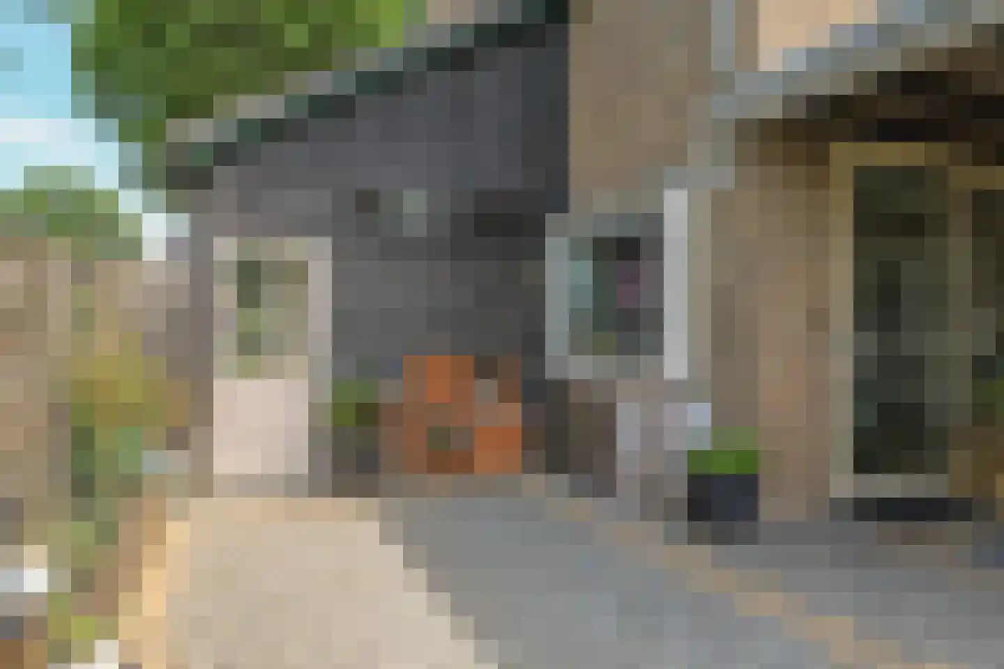 Narcissenstraat 55 Heteren thumbnail 68