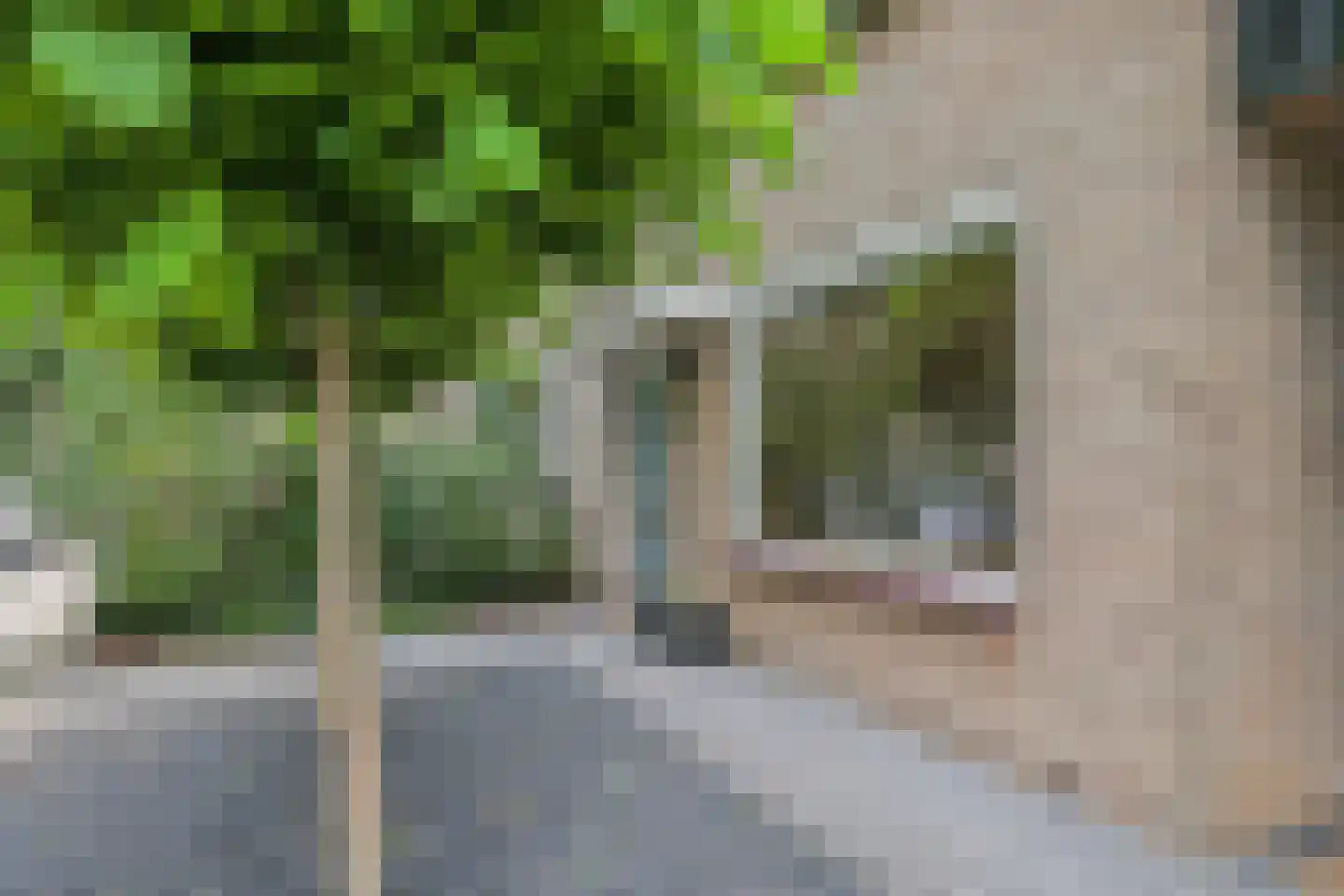 Narcissenstraat 55 Heteren thumbnail 9