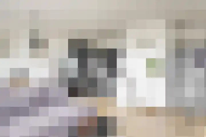 Narcissenstraat 64 Echt thumbnail 4