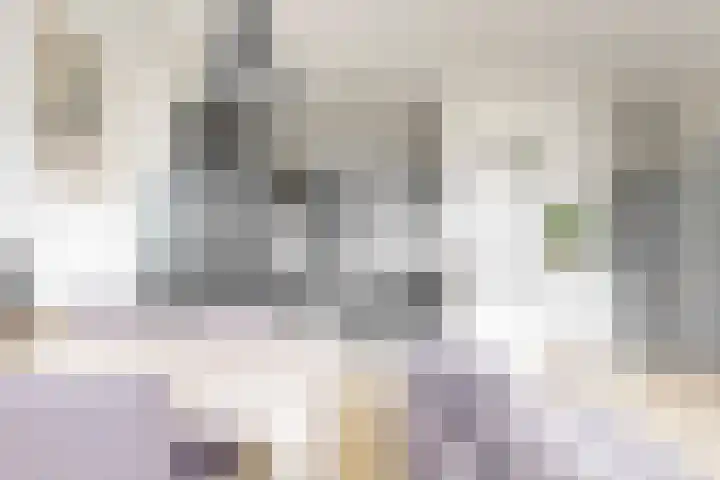 Narcissenstraat 64 Echt thumbnail 7