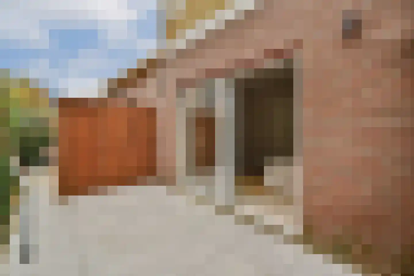 Narcissenstraat 67 C Rotterdam thumbnail 4