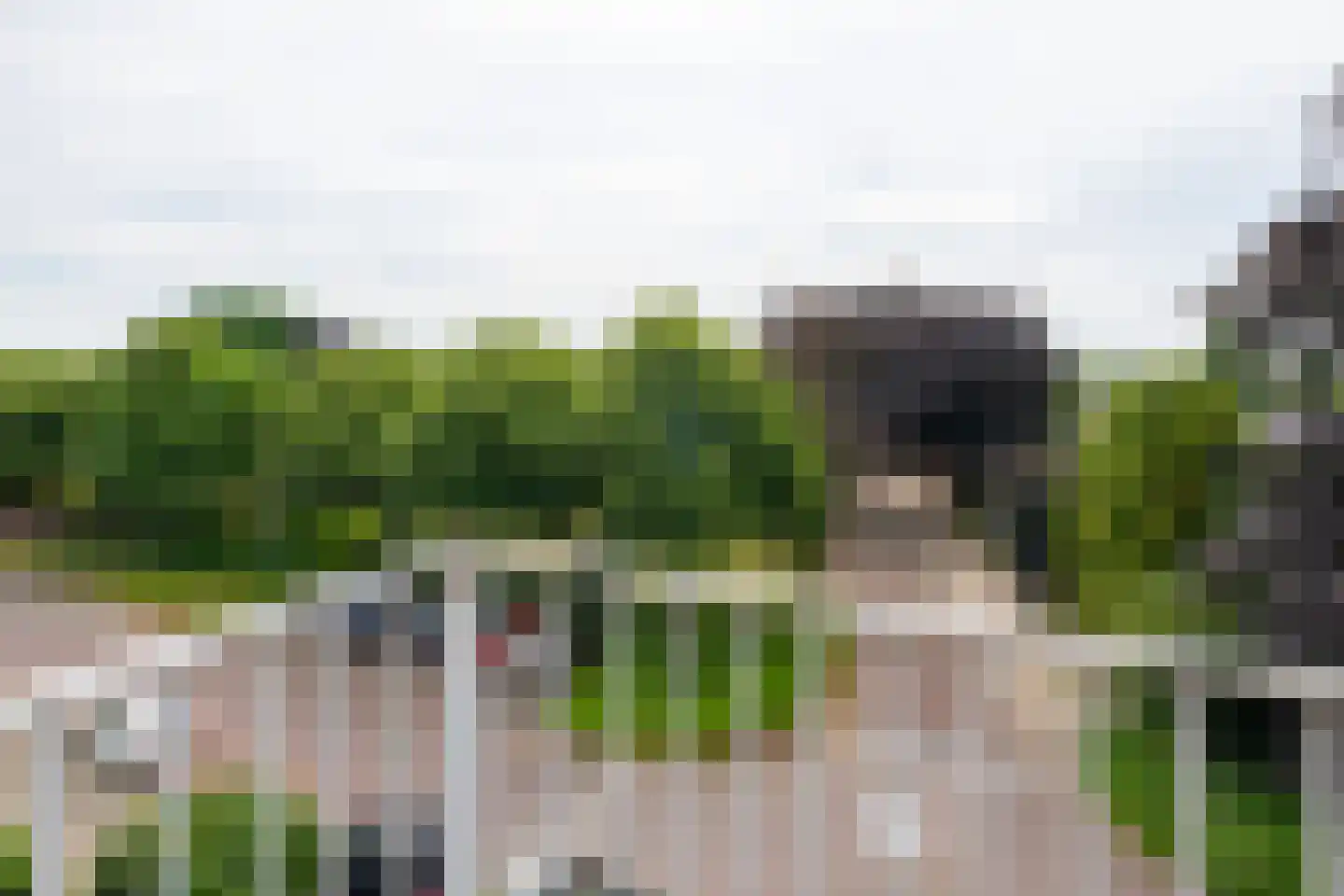 Narcissenstraat 70 Echt thumbnail 21
