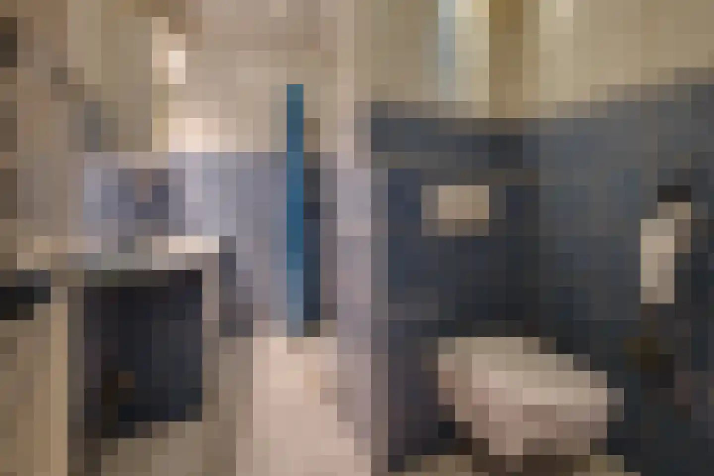 Narcissenstraat 70 Echt thumbnail 4