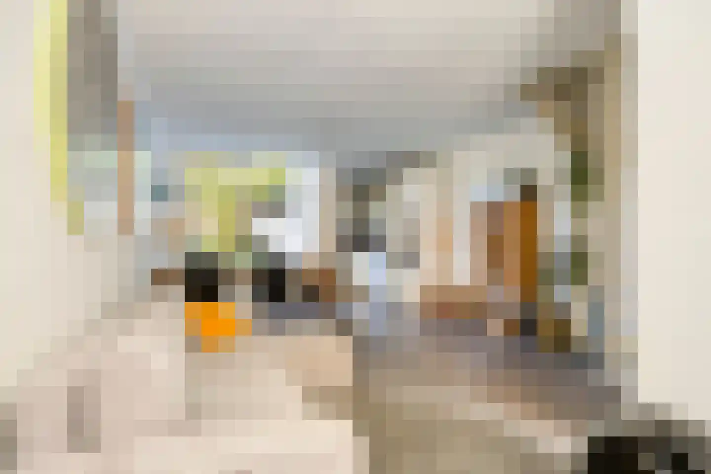 Narcissenstraat 76 A Rotterdam thumbnail 6