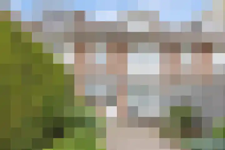 Narcissenstraat 9 Helmond thumbnail 28