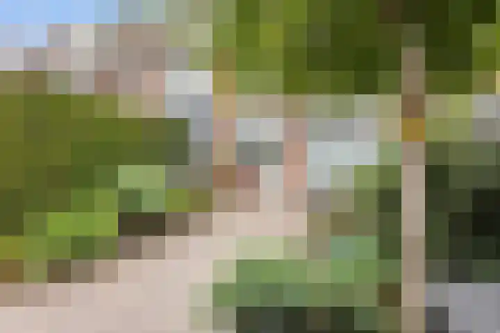 Narcissenstraat 9 Helmond thumbnail 29