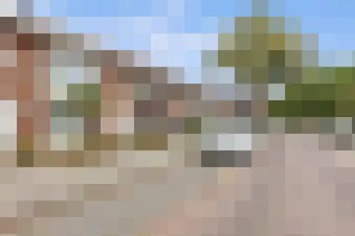 Narcissenstraat 9 Helmond thumbnail 36