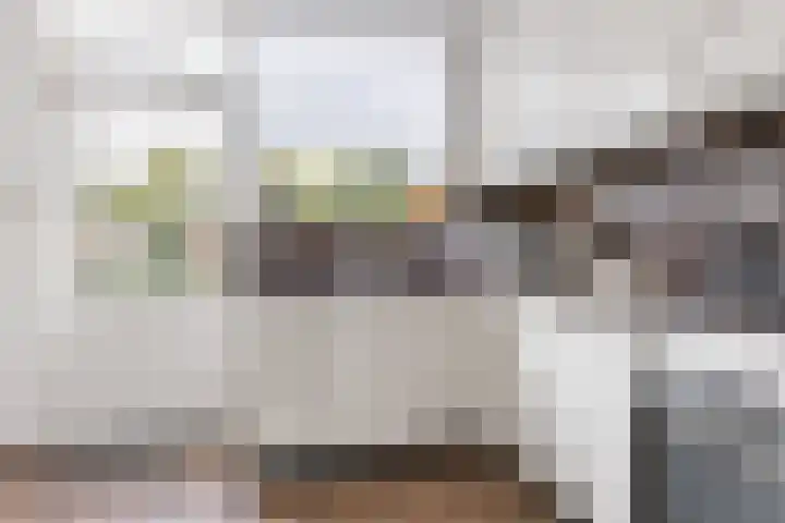 Narcissenstraat 9 Helmond thumbnail 8