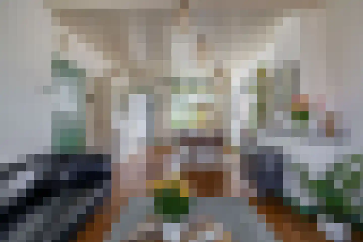 Narcissenstraat 9 Lisse thumbnail 11