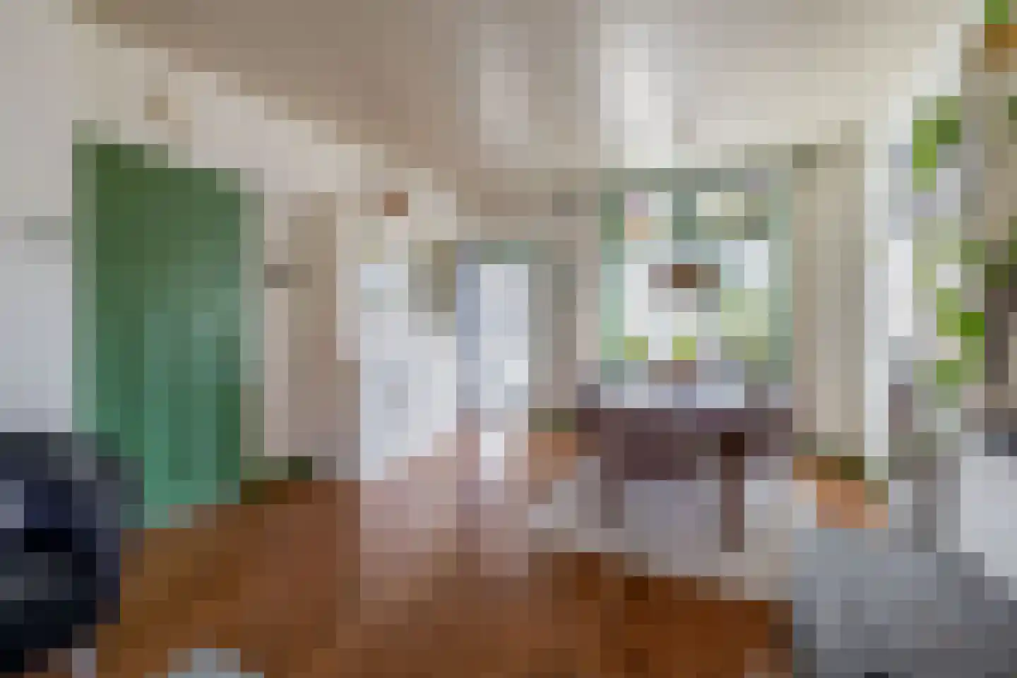 Narcissenstraat 9 Lisse thumbnail 12