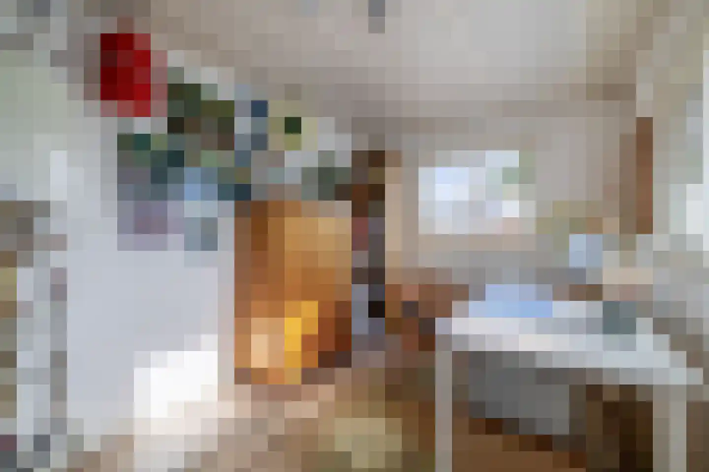 Narcissenstraat 9 Lisse thumbnail 22