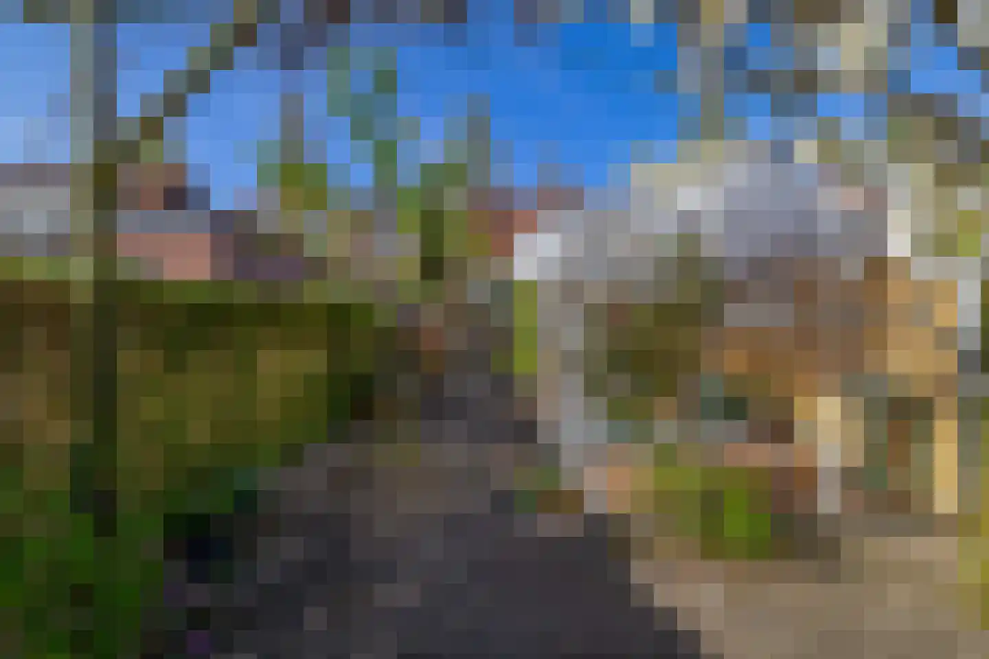 Narcissenstraat 9 Lisse thumbnail 27