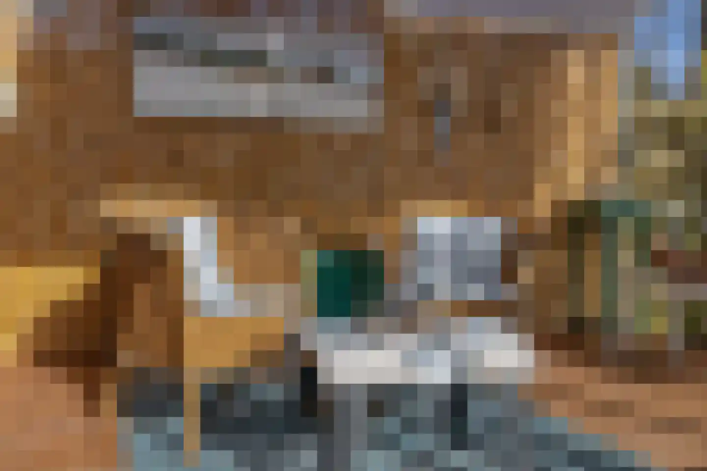 Narcissenstraat 9 Lisse thumbnail 32