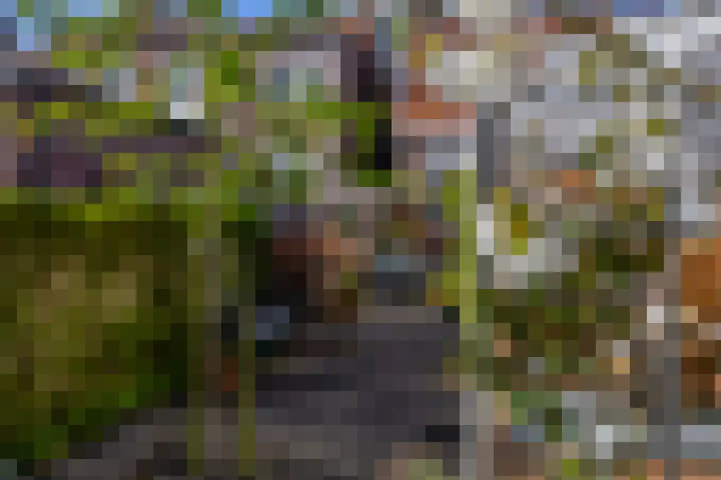 Narcissenstraat 9 Lisse thumbnail 33