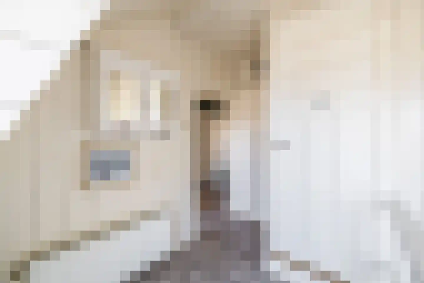 Narcissenstraat 9 Lisse thumbnail 35
