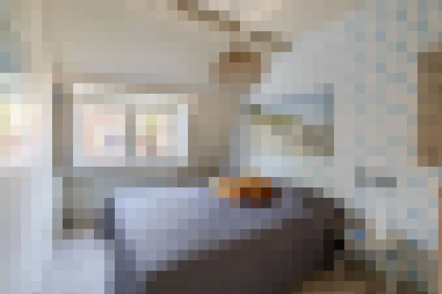 Narcissenstraat 9 Lisse thumbnail 38