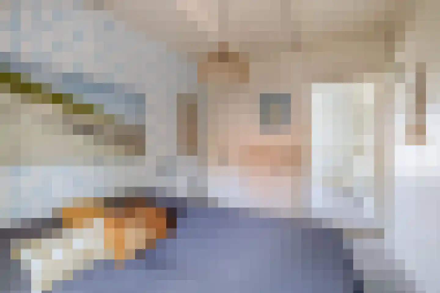 Narcissenstraat 9 Lisse thumbnail 39