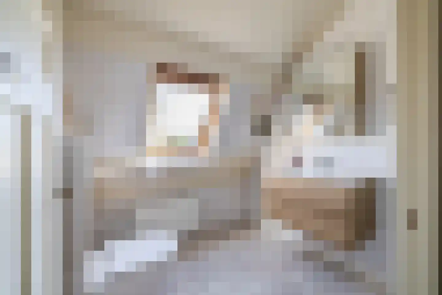 Narcissenstraat 9 Lisse thumbnail 40