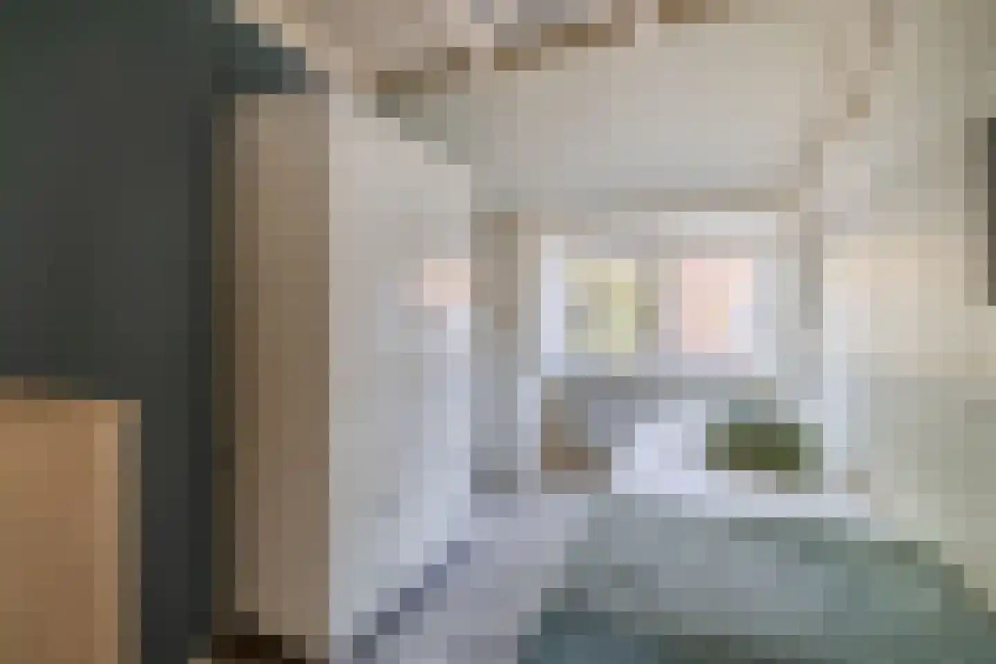 Narcissenstraat 9 Lisse thumbnail 43
