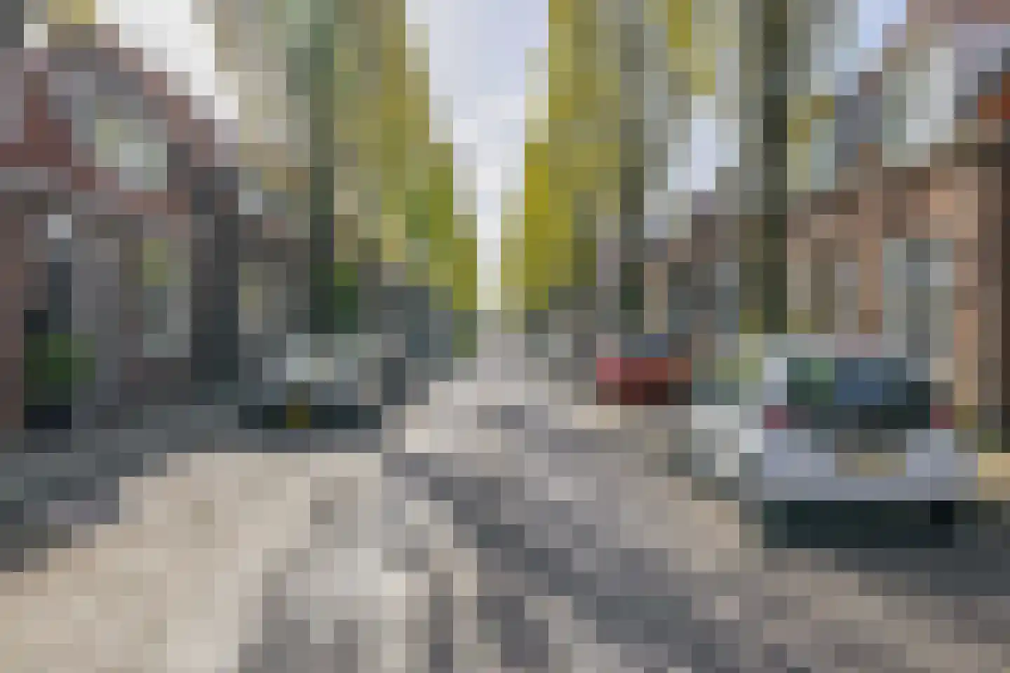 Narcissenstraat 9 Lisse thumbnail 45
